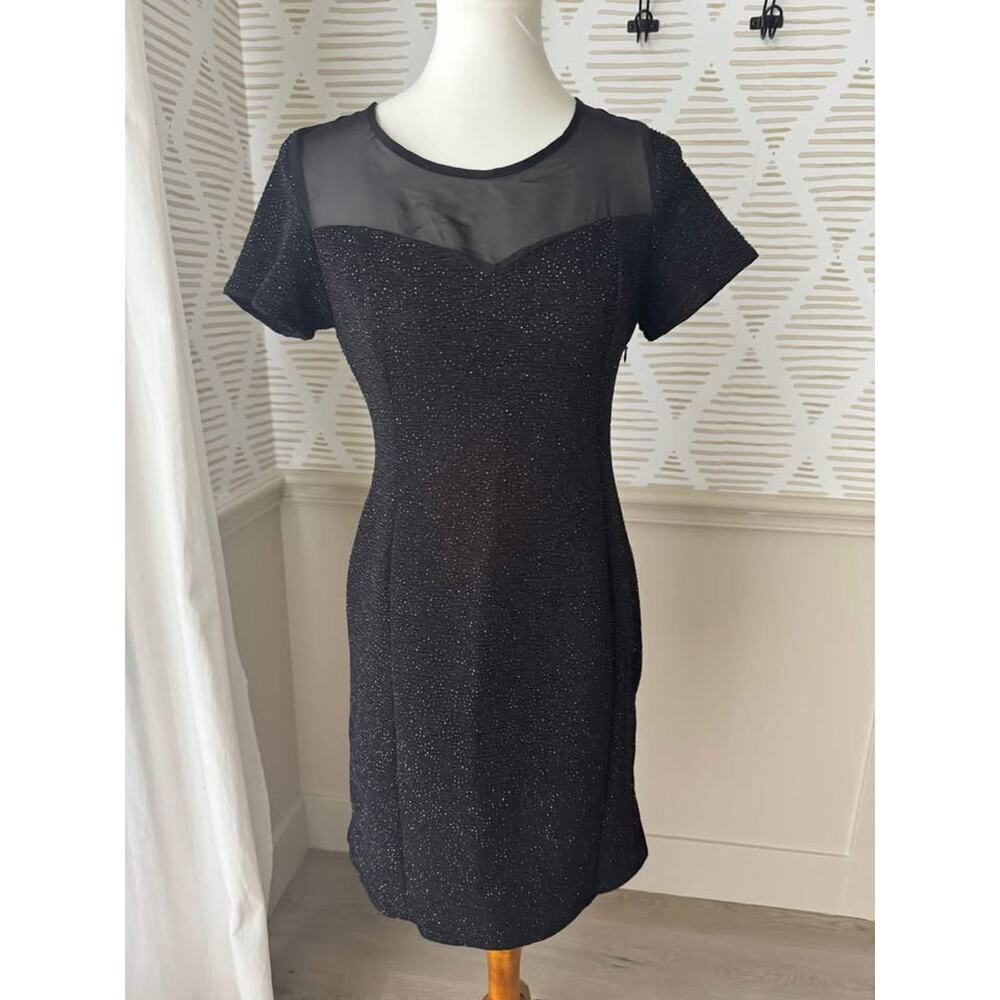 Black Silver Sparkle Women’s Medium Sheer Dress